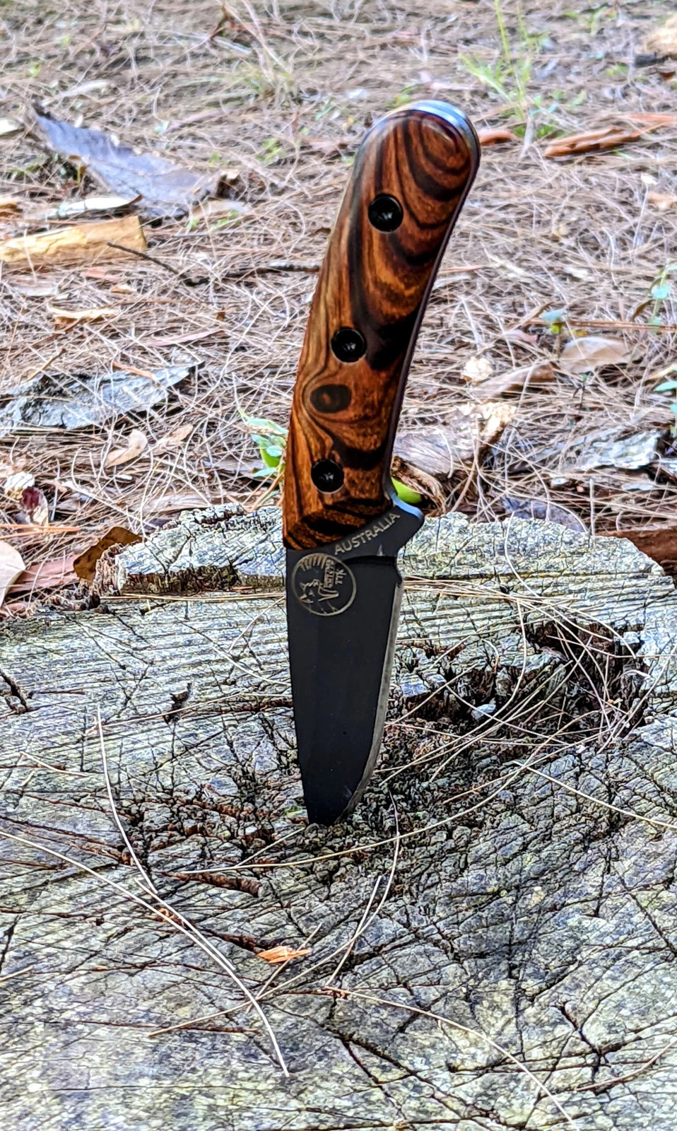 Tassie Tiger Fixed Blade Drop Point Knife – Desert Ironwood Timber