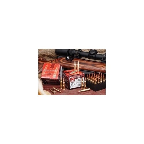 Hornady 17 Hornet 15.5 grain NTX Superformance Varmint Ammo 25 rd - 83004