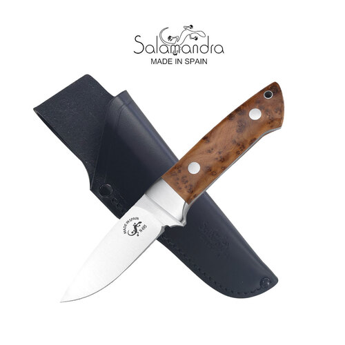 Salamandra Raiz Wood Handle Knife - A243243