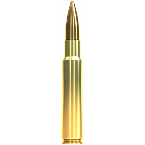 Sellier & Bellot 7.5x55 Swiss 174 grain FMJ Ammo 50 Round Pack - V341632